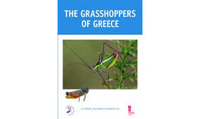 The grasshoppers of Greece